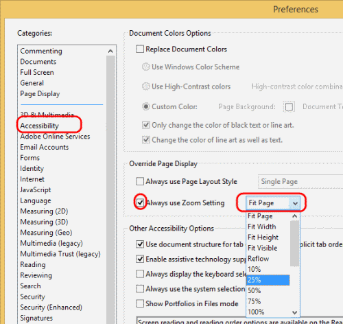 Reader Accessibility settings
