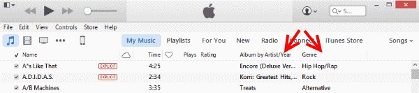 iTunes Genre and Album columns