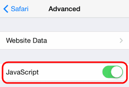 Safari iOS JavaScript setting